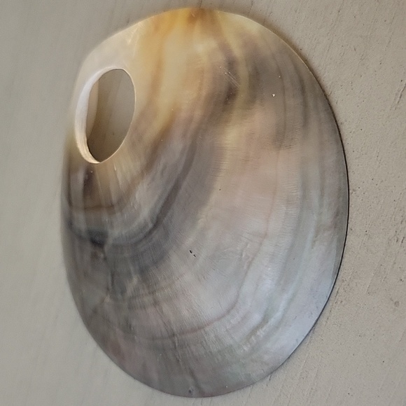 Abalone Shell - Picture 3 of 7